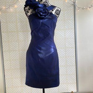 Cache Dress